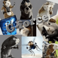 3e830b3fa510e571.gif