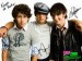 jonas brothers2