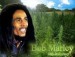 bob marley 1
